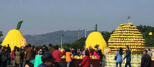 摩登7舞台音响设备注入梁平采柚节开幕式