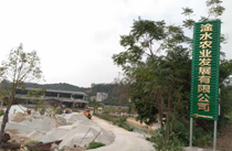 茂名展示厅音响工程案例-【摩登7】