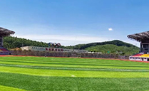 摩登7专业音响设备成功助力鹿寨田径运动场——基于Dante网络架构现场音频系统