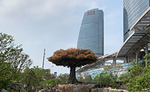 摩登7户外音响系统护航厦门某城市公园焕新